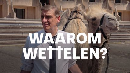 Waarom Wettelen (2024)