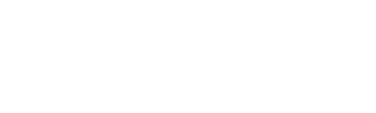 The Real CSI Miami